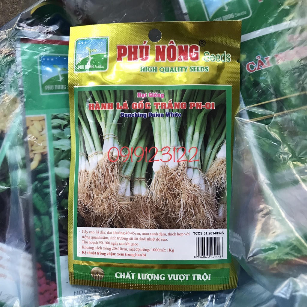 Hạt giống hành hương ( hành lá) gói 2g