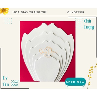 Bộ Mẫu Cánh Hoa 5 cánh chất liệu form 3mm