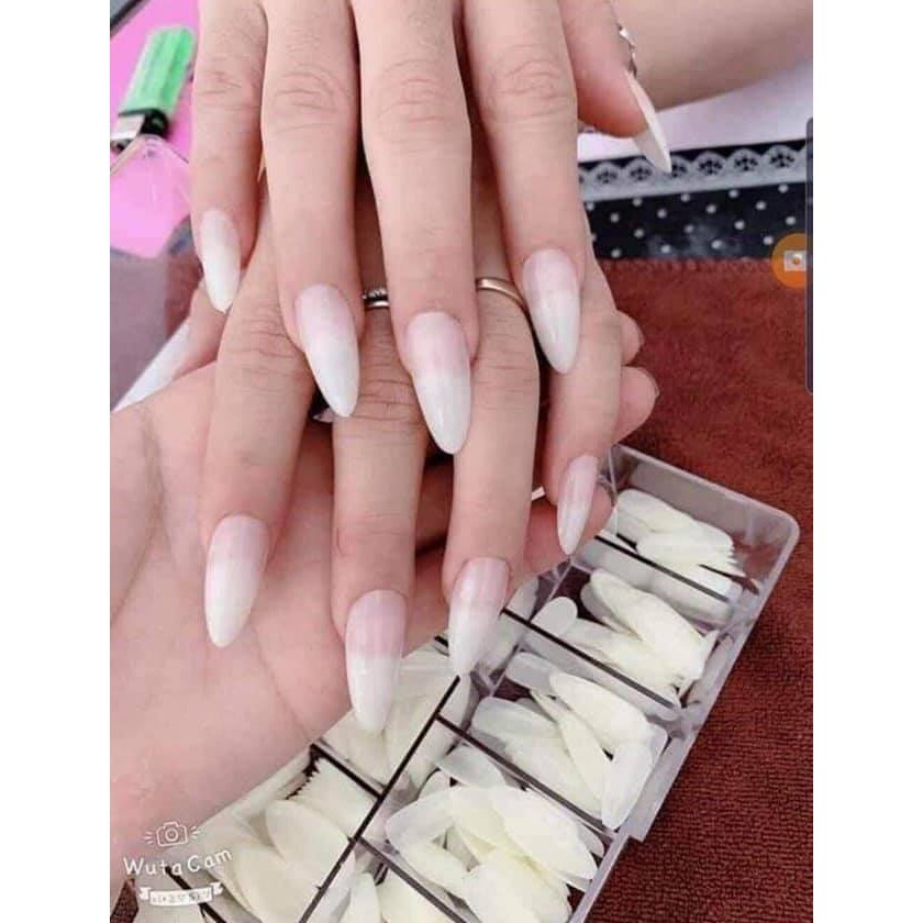 Móng up nhọn bầu dục, móng up ovan, móng úp tròn nhọn BEE NAILS shop