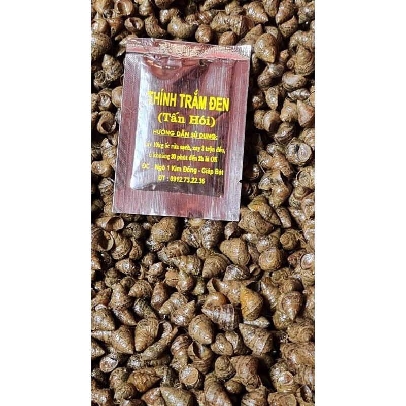 Thính Trắm Đen Tấn Hói