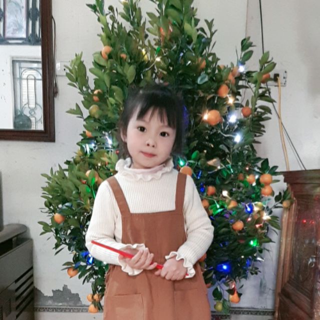 tu_uyen_2017