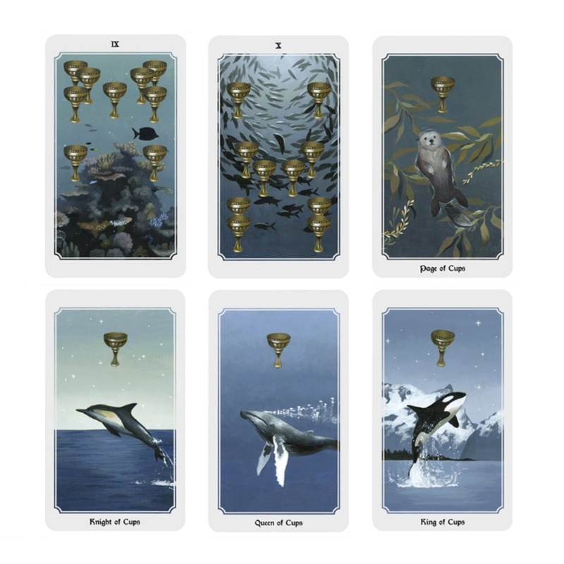 Bộ Bài Tarot Giải Trí Vui Nhộn