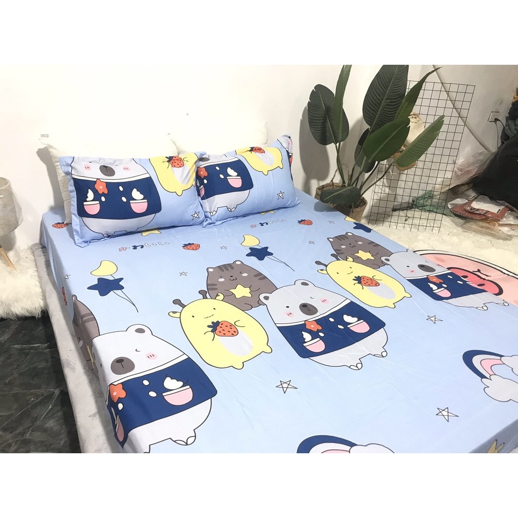 [Free ship-Xả hàng]Ga trải giường,drap ga giường poly cotton,mẫu gấu nhiều màu