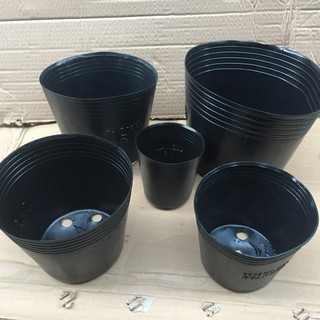 Đặc biệt Combo 10 chậu trồng hoa, cây cảnh C10 (25x18cm) chất lượng