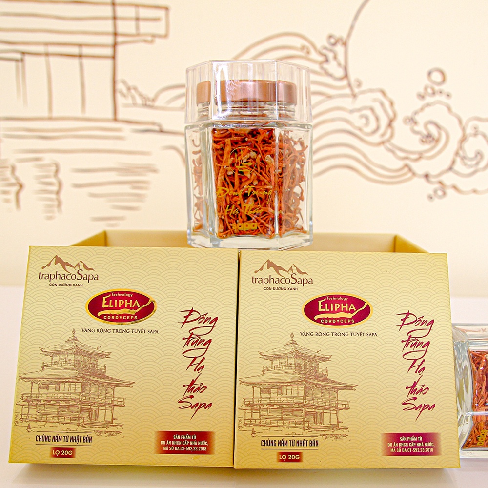 Đông Trùng Hạ Thảo Sapa Khô Sấy Thăng Hoa Thương Hiệu Traphaco (20gram)