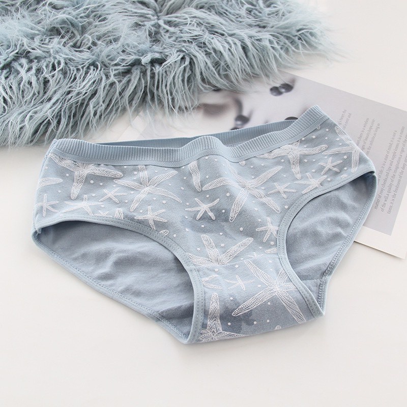 Quần Lót Nữ Cotton - Quần Lót Nữ cạp chun ôm dáng điệu đà - set nàng tiên cá dễ thương DAN STORE Mã 3775