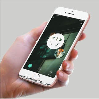 Ổ Cắm Wifi Zigbee Tuya Google Home, Amazon Alexa OC05 (Smart Life)