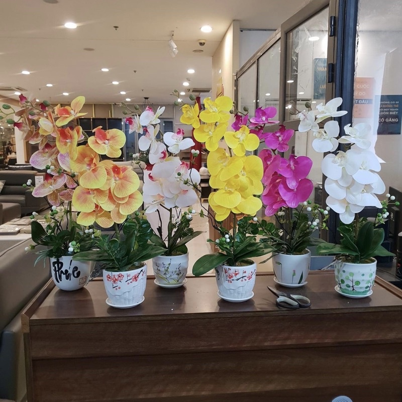 ( 1 chậu ) hoa lan Hồ Điệp cao su 9 bông- gốm sứ Bát tràng, hoa trang trí nhà cửa phòng khách, bàn ăn, bàn lễ tân