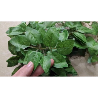 Lá hồng lụa 100gr (50-60 lá)