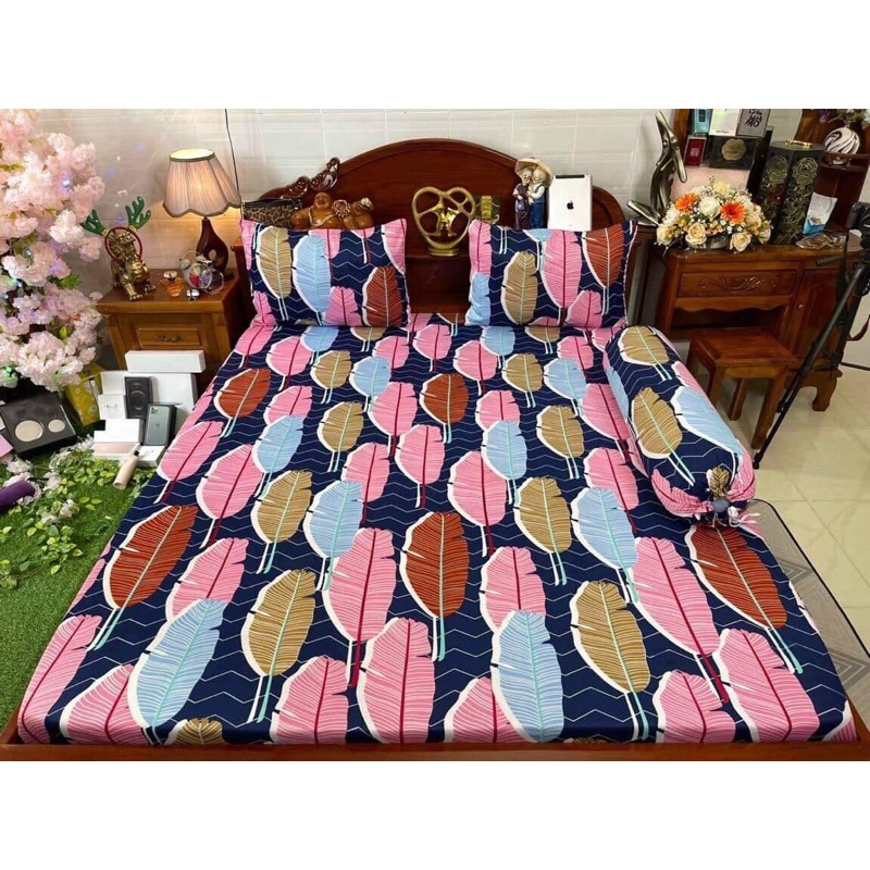 bộ ga gối m6 thun hàn quốc