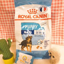 10kg,ROYAL CANIN MAXI PUPPY Dành cho chó có (cân nặng tối đa từ 26 - 44kg) và đang trong lứa tuổi Puppy từ 2 đến 15 thág