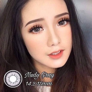 Lens Nudy gray | giãn tròng