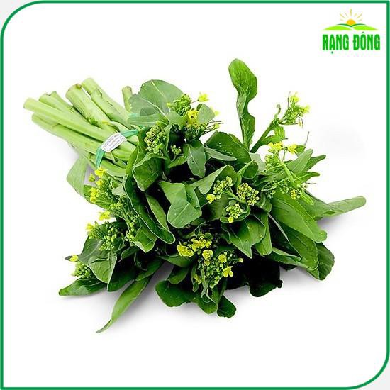 Hạt Giống Cải Ngồng (Cải Ngọt Ăn Bông) Dễ Trồng, Năng Suất Cao - Gói 20 Gram