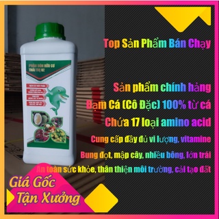 Phân Cá Hữu Cơ, Đạm Cá Hữu Cơ, Thái Thị Chai 1 Lít