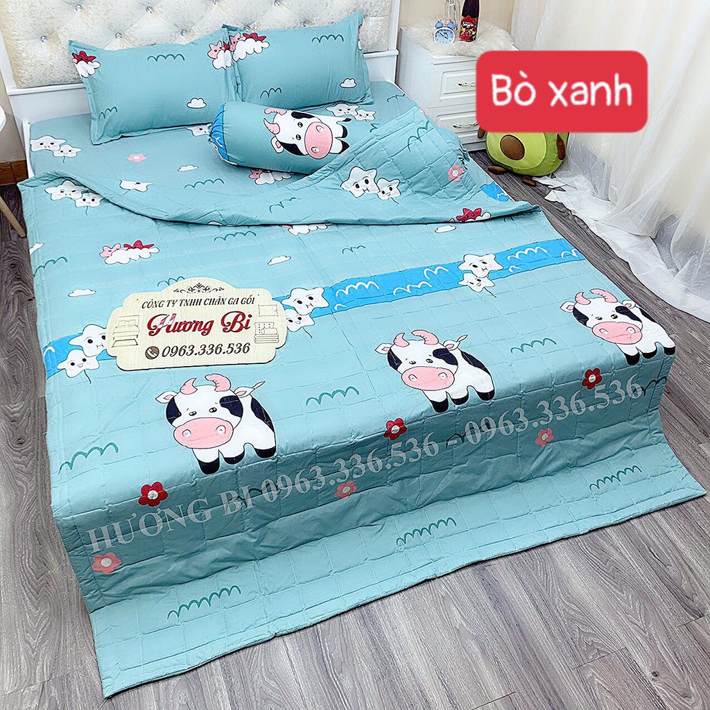 Bộ Chăn hè dễ thương cho bé Ga Gối Cotton Poly Combo 5 Món - Nhiều Mẫu Lựa Chọn - Hương Vũ Bedding