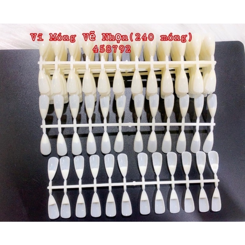 Vĩ móng tập sơn - vẽ - gắn sổ mẫu mới