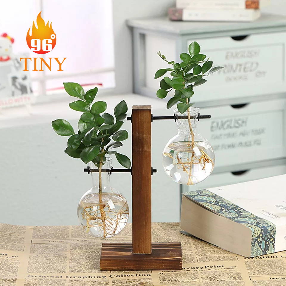 Trang trí bàn làm việc văn phòng với lọ thủy tinh cắm hoa, trồng cây kèm giá gỗ, phù hợp mọi không gian trong văn phòng