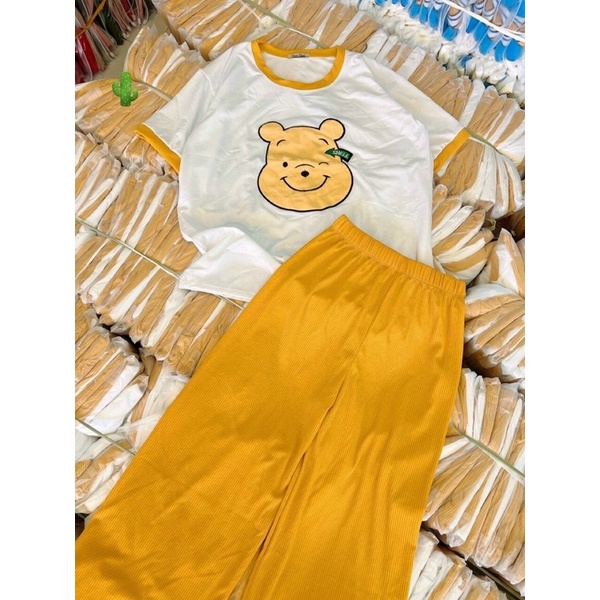 Set bộ áo thun phông gấu thêu kèm quần dài tăm PC alohashop91