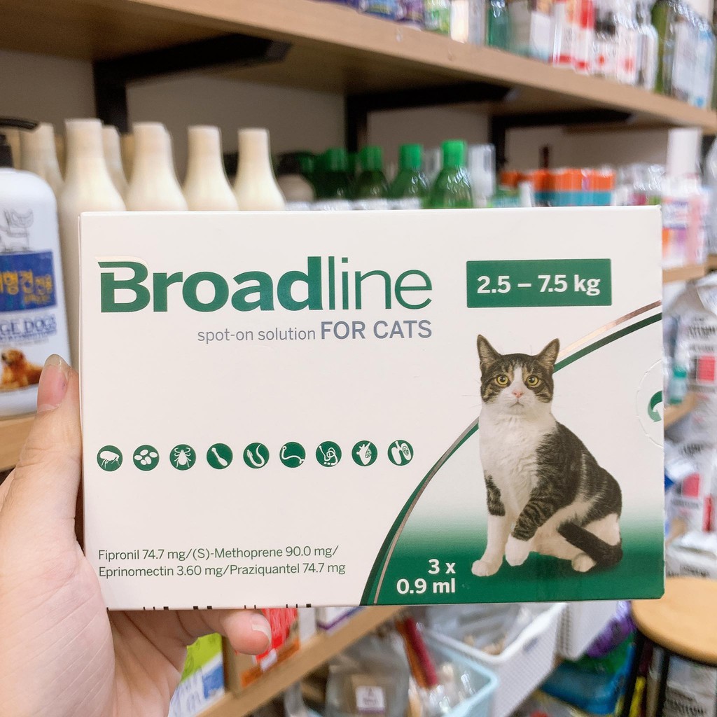 Nhỏ gáy Broadline phòng và trị nội ngoại ký sinh ở mèo