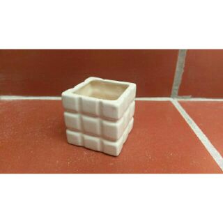 Chậu sứ mini trồng sen đá