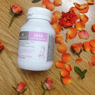 DHA bầu Bioisland
