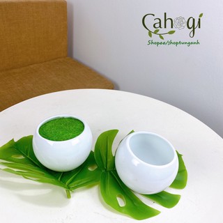 Chậu Sứ Bát Tròn Cắm Hoa Men Ngọc Cao Cấp