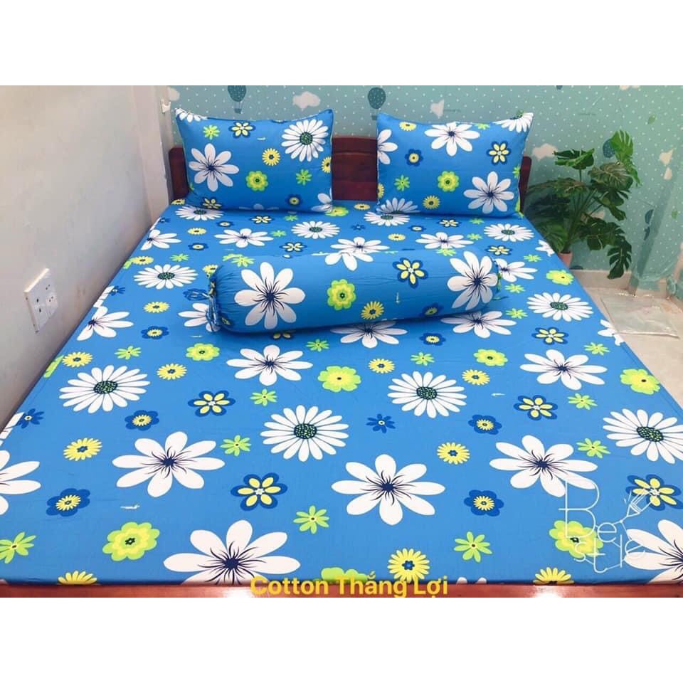 Bộ Drap Cotton THẮNG LỢI {chuẩn logo cty} chat để chọn màu