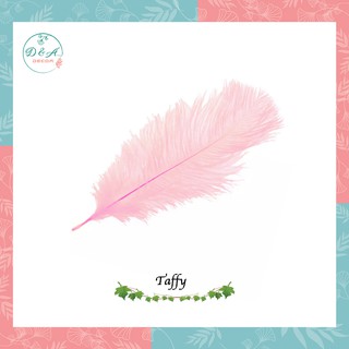 Lông vũ trang trí chụp ảnh - Sản phẩm có 4 màu