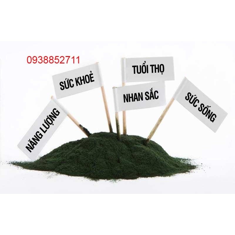 Tảo Spirulina Vĩnh hảo