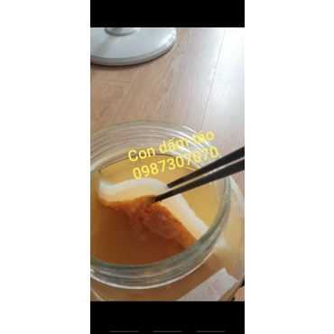 DẤM TÁO CÓ CON GIẤM CÁI 1000ML THƠM LỪNG