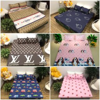 bộ chăn ga gối HAUSUKO cotton poly ( chat chọn  mẫu)
