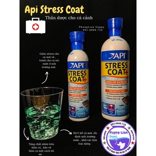 Api stress coat - thần dược cho cá cảnh.
