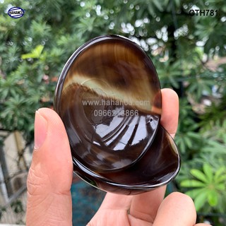 BÁT SỪNG TRÂU HAHANCO CTH781