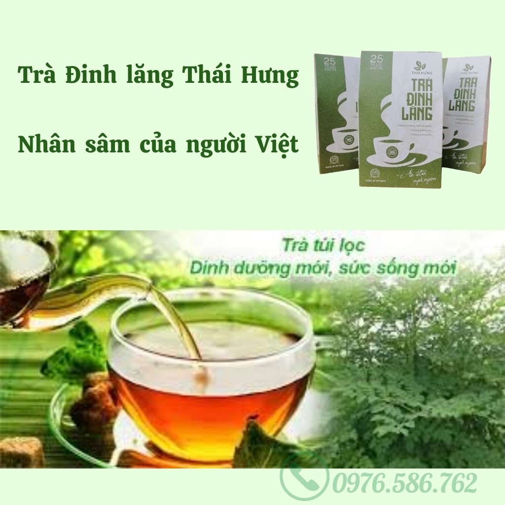 Trà Túi Lọc Đinh Lăng Thái Hưng, giúp An Thần Ngủ Ngon, Trà Thảo Dược Thiên Nhiên (25 túi lọc x 5g) | BigBuy360 - bigbuy360.vn