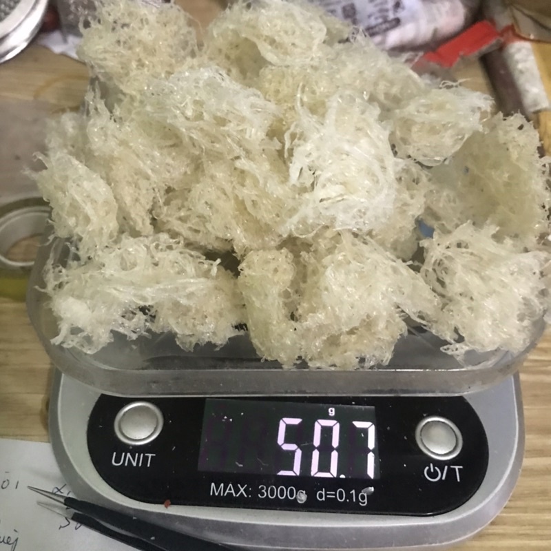 Sét yến sào viên baby, mini, tổ yến nha trang , khánh hoà