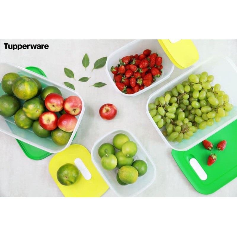 Tupperware Bộ hộp trữ mát Vensmart 4