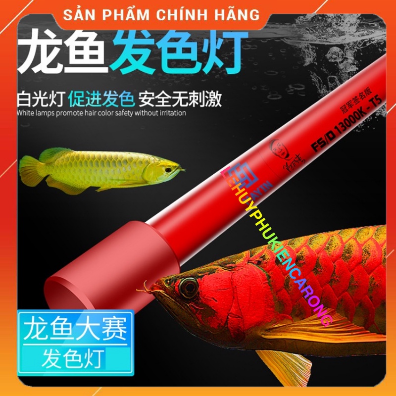 Đèn Bể Cá Chuyên Dụng Tanning Cho Cá Rồng Huyết Long Và Bối Vàng Bóng T5 13000k, 6700k, 2700k Thương Hiệu MAYIN