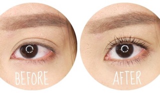 Bấm mi cong Eyelash Device hình thú Gấu Thỏ Vịt
