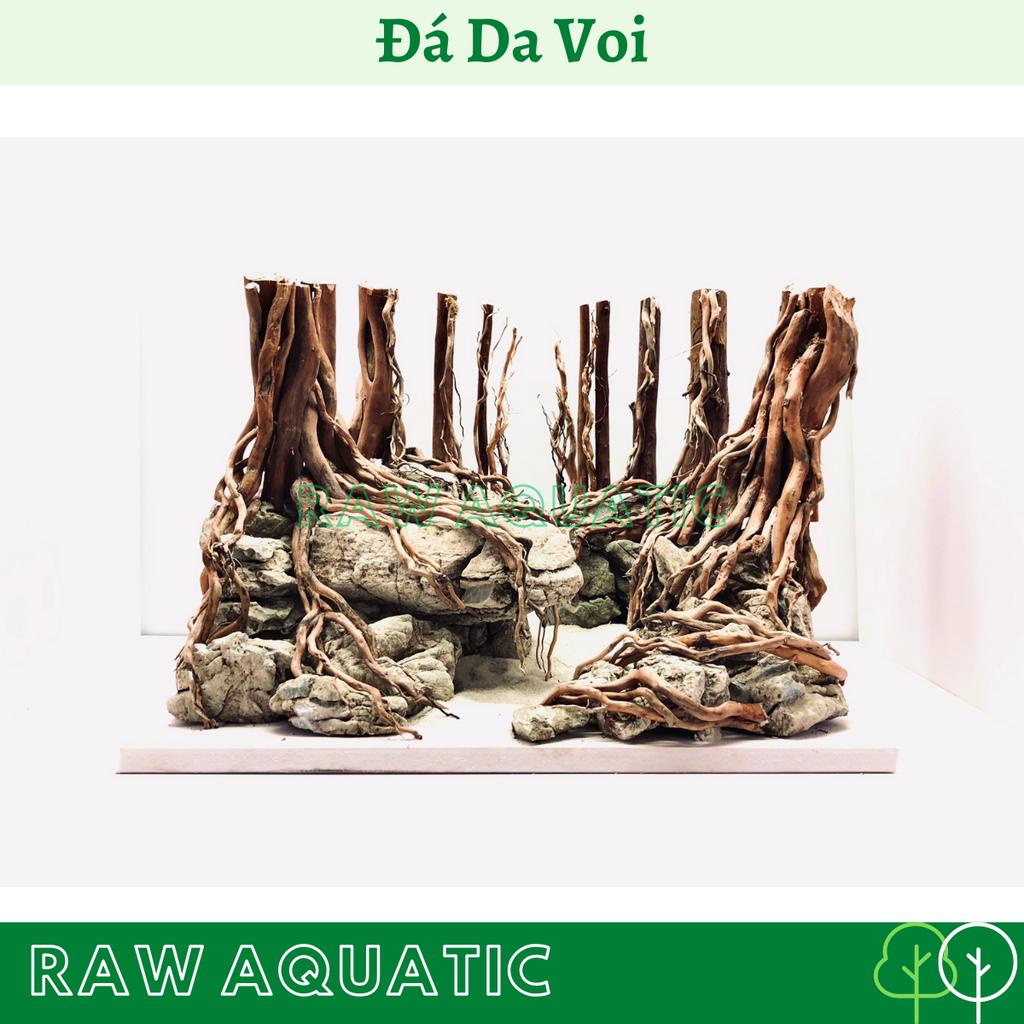 Đá Da Voi Trang Trí, Setup Bể Cá Cảnh, Bể Thủy Sinh