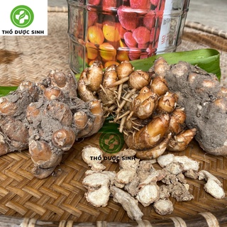 Củ địa liền tươi rừng chuẩn sạch thơm đặc 1Kg