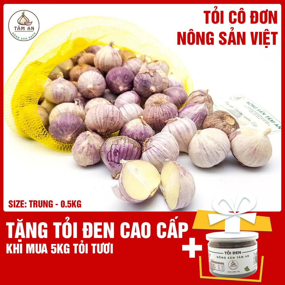 0,5kg tỏi cô đơn loại trung, dùng để làm tỏi đen. Tặng 1 hộp tỏi đen cao cấp khi mua 5kg