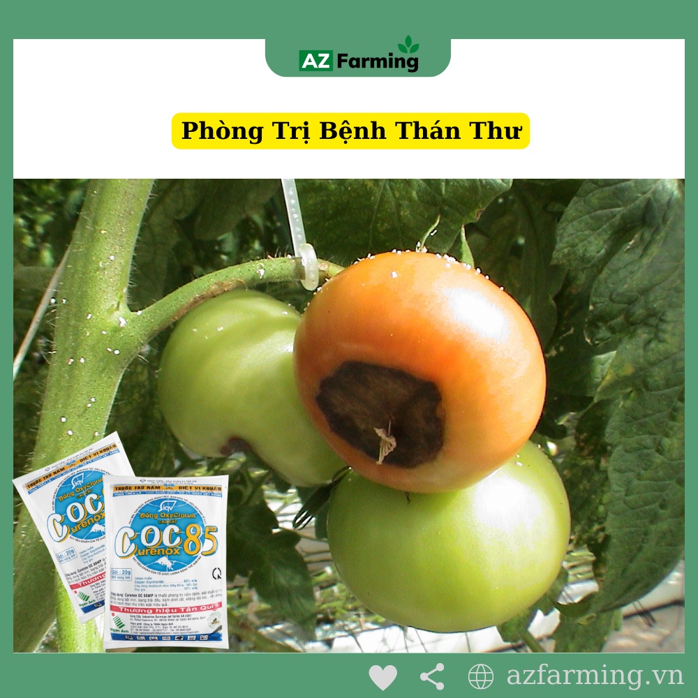 COC 85 Thuốc Trừ Bệnh Cây Trồng - Gói 20g - AZ Farming