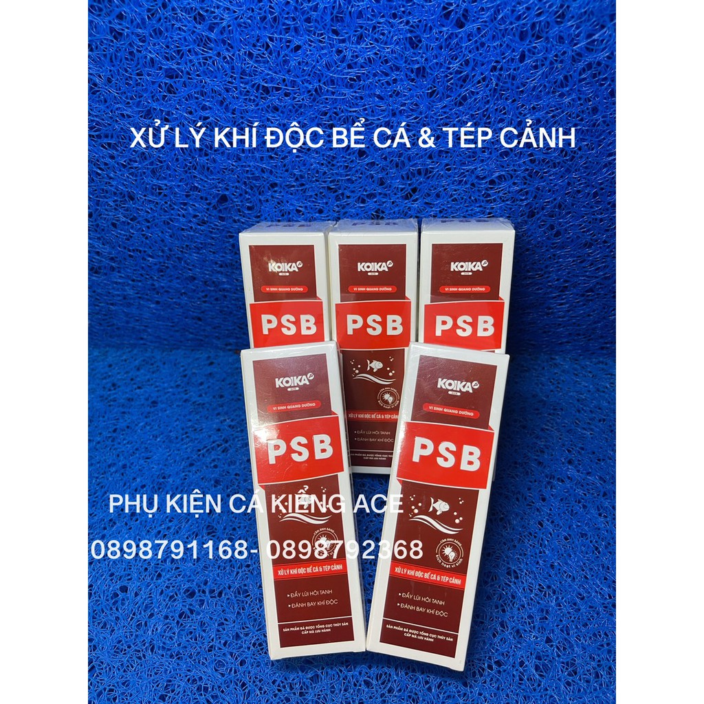 CLEAR KOIKA - BAC +KOIKA - PSB KOIKA (CHAI 105ML) - Vi Khuẩn Quang Hợp cho hồ cá