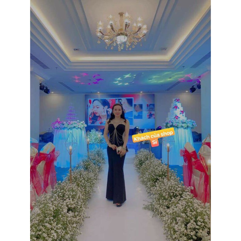 Đầm dạ hội kết chuỗi cao cấp kèm ảnh thật tặng hoa tai thời trang xinh xắn | BigBuy360 - bigbuy360.vn