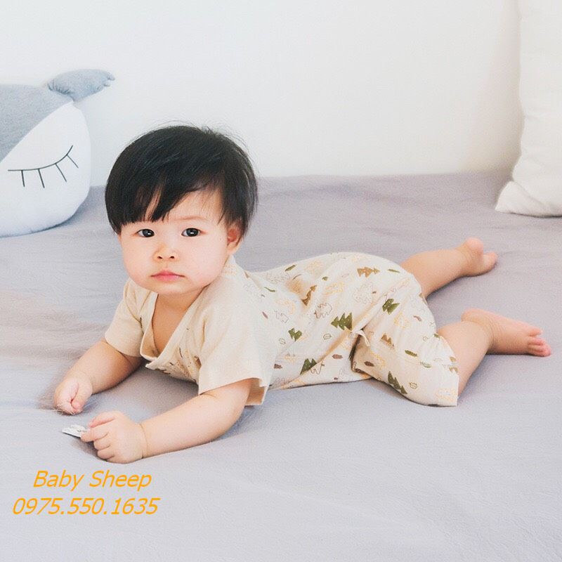 Body cộc tay 100% COTTON HỮU CƠ TỰ NHIÊN cao cấp cho bé 0-2 tuổi không chất tẩy nhuộm siêu đáng yêu dành cho mùa hè