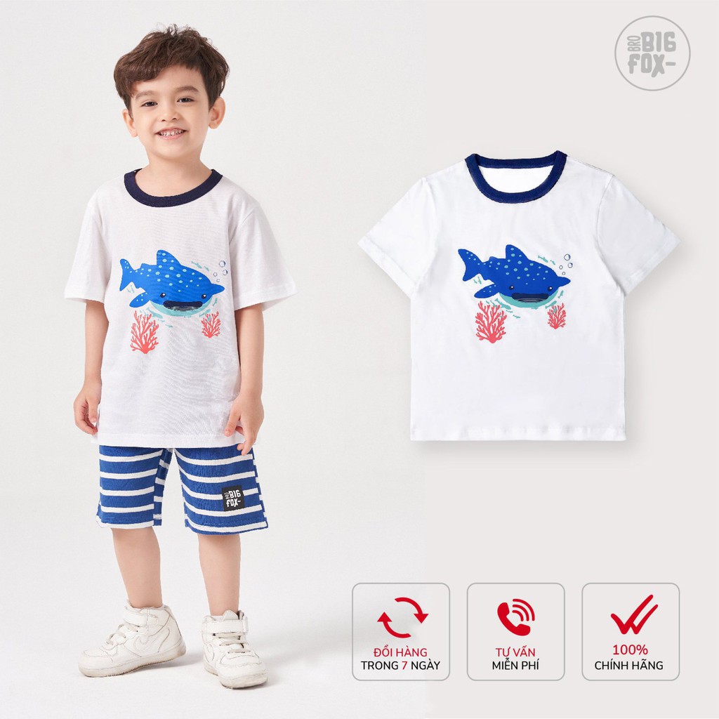 [Made in Vietnam] Áo thun bé trai Bigfox, Áo cộc tay trẻ em nhiều màu phong cách Hàn Quốc cỡ 2,3,4,5,6,7,8 tuổi