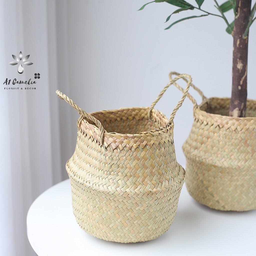 Cây Decor - Cây Oliu Camelia + Tặng Kèm Giỏ Decor Cao Cấp, Chiều Cao 0,8m, Chất Liệu Lá Không Bám Bẩn,Quả Oliu Như Hình | BigBuy360 - bigbuy360.vn