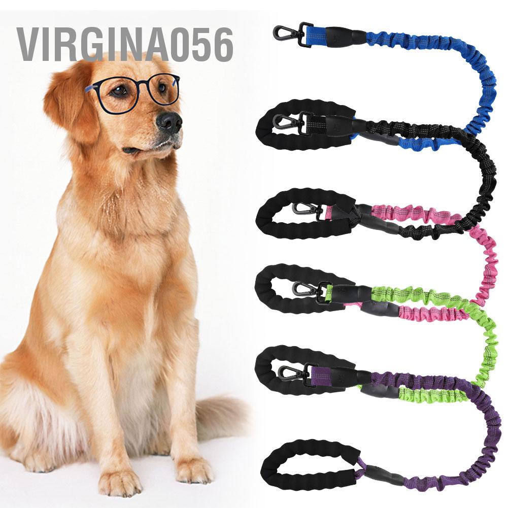 Dây DẫN Thú Cưng Đi DạO 2.46ft