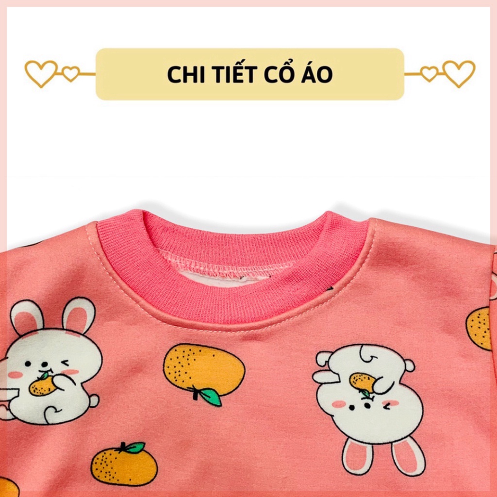 bộ nỉ cho bé trai bé gái bộ nỉ bông cho bé mềm mịn họa tiết LILIKIDS BDT06