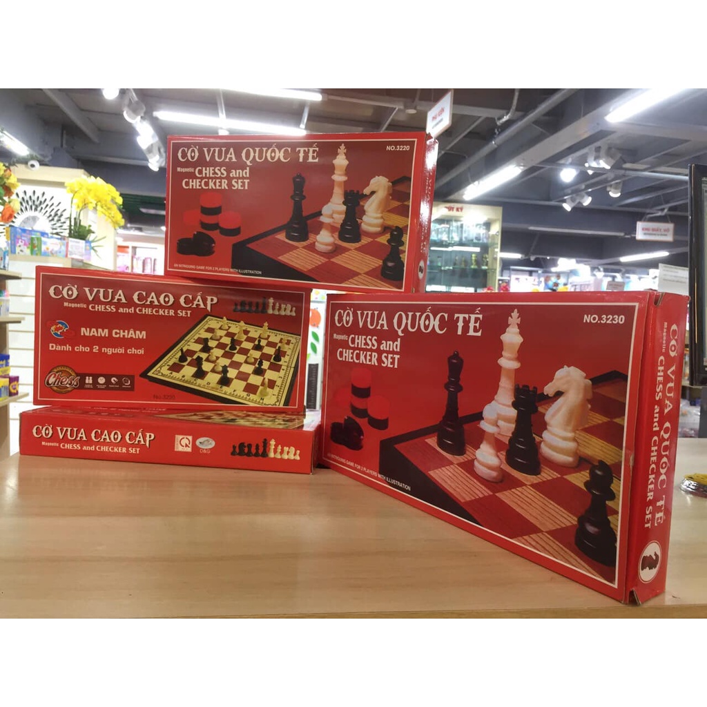 Đồ chơi trí tuệ - Cờ Vua - Cá Ngựa - Nam Châm